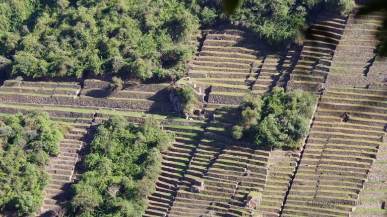 choquequirao andenes